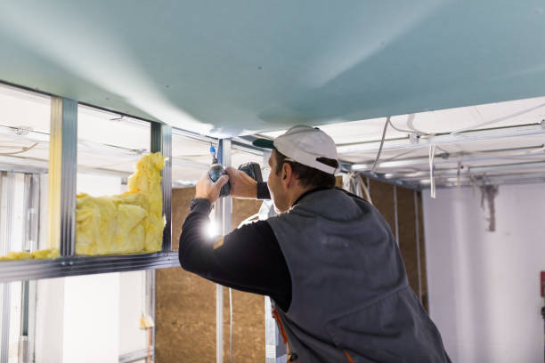 Best Fireproof Insulation  in Trenton, IL